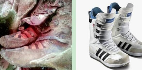 ǧ��ľ�����ɴ������ϡ��\��Ь�W��:�r�g������