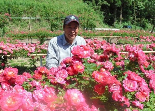 Ұ߅���۞�Ą�����Ӷ��N��1�f��õ�塣�����괺�죬õ���״ξ`�š�