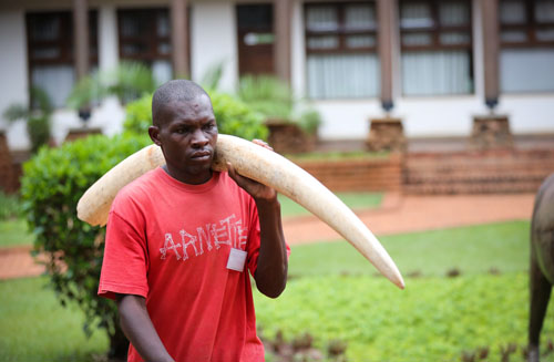 Ӣý:�|������F(tu��n)��ٿط���������˽��ȫ������(zh��n)