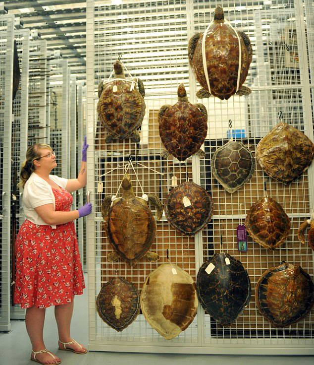 Ӣ�����^չ��������˽Ʒ ּ�ڱ��o(h��)��(d��ng)��