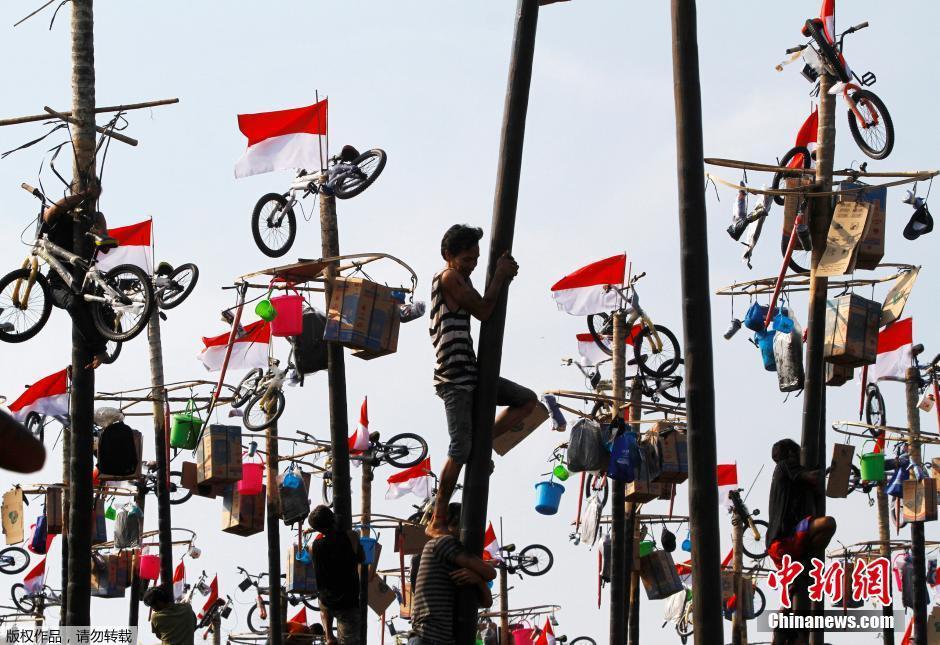 ӡ���񱊡����U���o���71��������