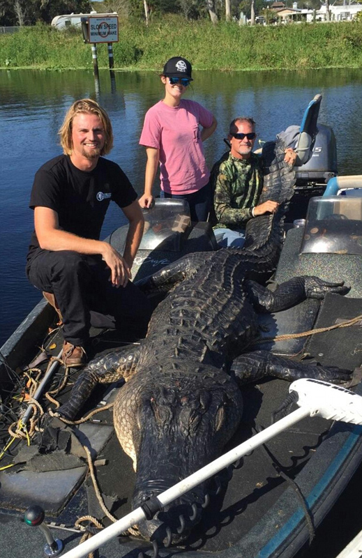 ���C�˲��@�s4���L���Ͷ����{ ���_635��