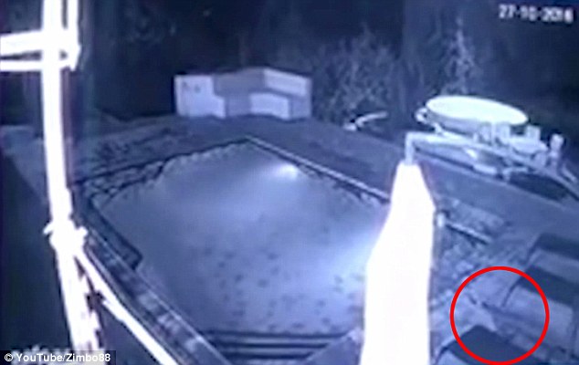 ��ǰ��һ����H�ڷ��޵�һ�g���^��Ӿ��ҹ�Εr��һֻ�{�~ͻȻ���M���g���r����c׃�����Ѫԡ��