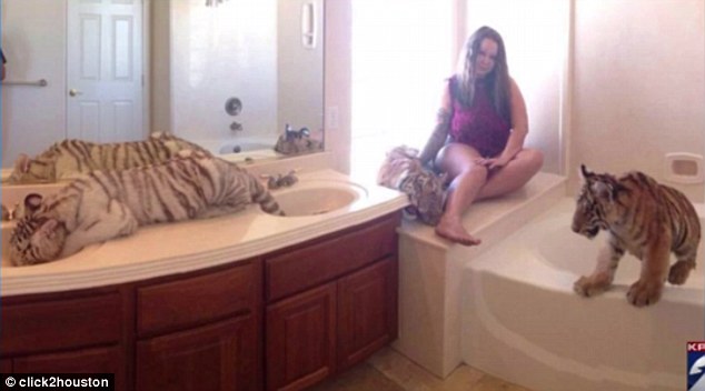 ���Ů����Σ������ĸ�H�ڼ���ɢ�B�{���ϻ�