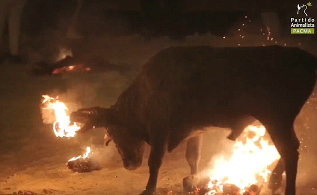 ��������(d��ng)�ﱣ�o(h��)�M������ȡ�����̡���ţ��(ji��)��