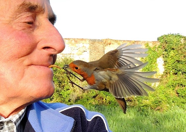 Ӣ�����c�B��H�ܟo�g���Q���B�ˡ� ������ιʳ