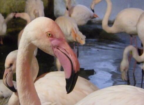 �o(w��)��ꡰ���������q��򡱺��o(w��)���w�� ֻ�����пͣ�