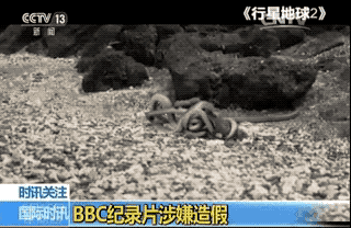 ����Ӣ��ý�w������@һĻ�Ǻϳɵġ�