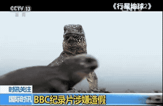 Ӣ���V����˾���J