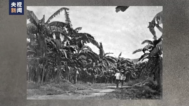 �����ӊZ ��ռ�Ŕ� ��ʽ���Ե����M������