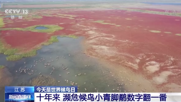 ������B��ح�҇����B�h�����m���� �������B�v�㡰���͡�