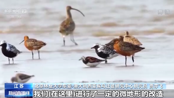 ������B��ح�҇����B�h�����m���� �������B�v�㡰���͡�