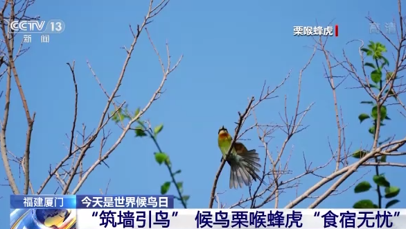 ������B��ح�҇����B�h�����m���� �������B�v�㡰���͡�