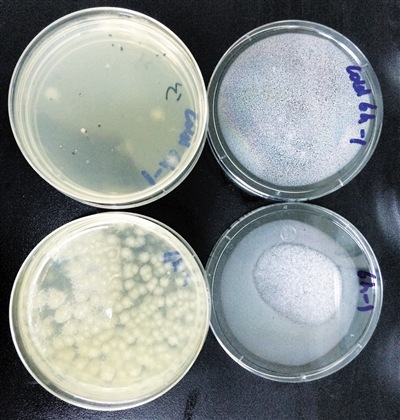 ��ؗl����Ʒ(��)��������Ʒ(��)�о��係��(sh��)��(du��)�����@��