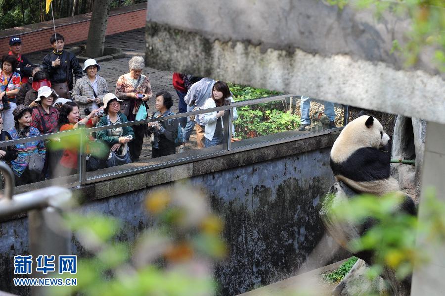 (經濟)(7)兩岸“三通”五年間 (經濟)(7)兩岸“三通”五年間
