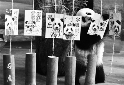 ���A�С�һ�q�ˣ�