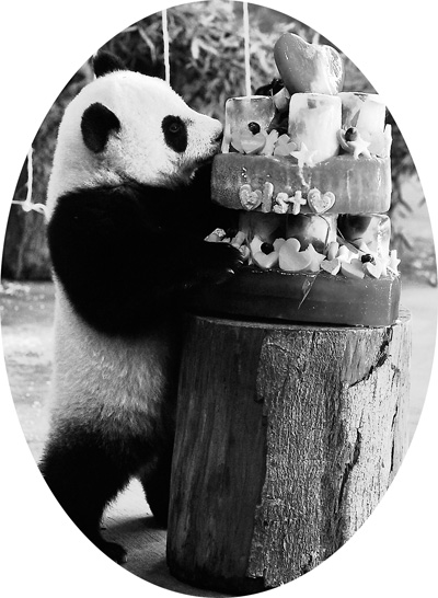 ���A�С�һ�q�ˣ�