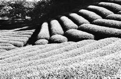 �_(t��i)��ϱ�D����� �����Ϙs���r(n��ng)�I(y��)(�D)