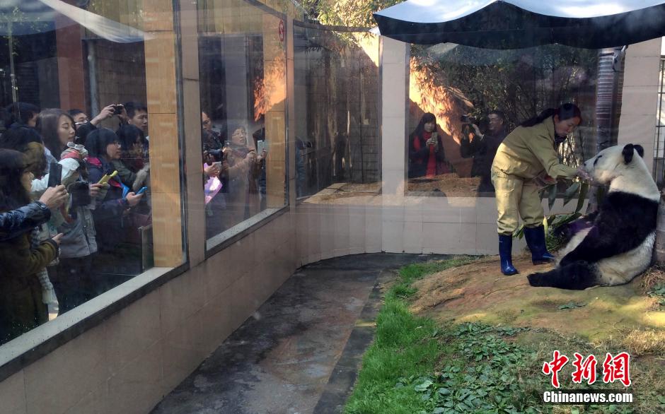 �M�D�����ٚq����؈���ǰ�˹���_(t��i)����������