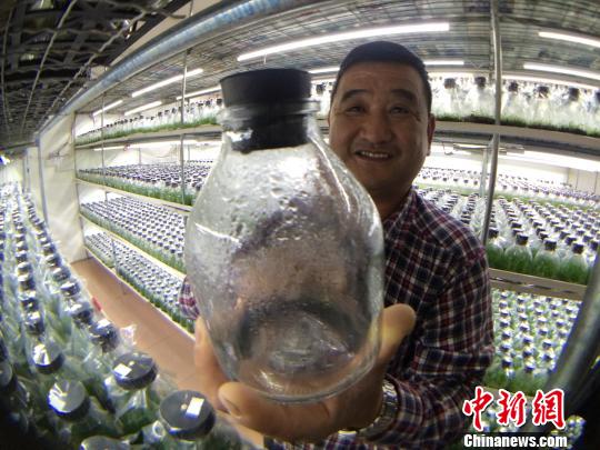 �_����ɽ���mʮ���ꡰ늱��硱���o�`��