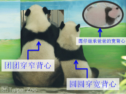 �F�F���A�A�ı����ڰ�Ҳ��ͬ�����DƬ���Y�ρ�Դ���_����؈�ܱ����W��