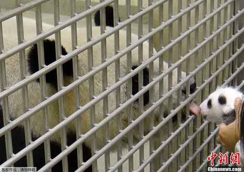 �A�г����r��������С��ҧ��С�����M�뱣���䯟����һ���º����A�и����F�ڗU�c�A�A�״�Ҋ�档�A���mȻ�۾�߀δ���_���sͻȻ������ǰ�ęڗU���۴�����·�֪������������ǰ���A�AҲ���Qʾ�������r������^���ÈA�����ڈ��ı����T��ʾ�����ā�]�� �A�A�@�ӽ��^����