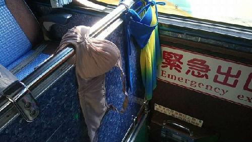 ����ο�ֱ�������[܇�������(n��i)�¡����Y�ψDƬ���_���|ɭ���W(w��ng)��