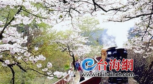 ����ɽɭ���F·