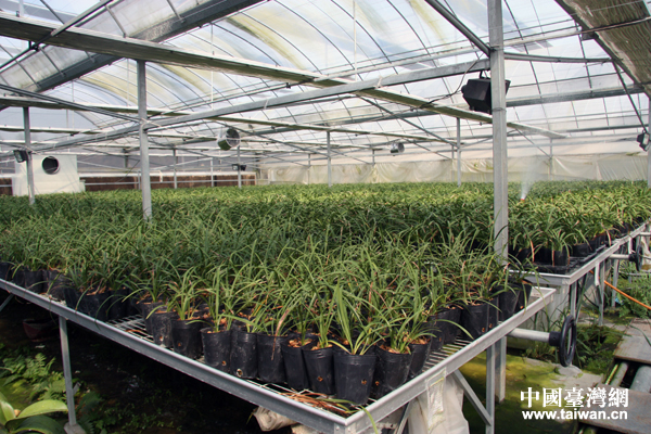 ���Տ]���_���r(n��ng)�I(y��)��(chu��ng)�I(y��)�@��(n��i)�_���m֮���r(n��ng)�I(y��)���B(t��i)�@�����Ї��_���W(w��ng) ����Ȼ �z��