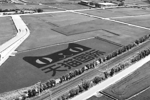 “稻田種天貓”令臺灣心態復雜業者駁“陸資入侵”