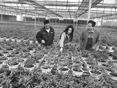 �_��ϱ�D�ִ仨�ġ�ů����