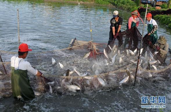 同胞攜手翻開歷史新頁——盤點兩岸關系2015關鍵詞 同胞攜手翻開歷史新頁——盤點兩岸關系2015關鍵詞