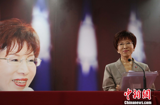 國民黨黨產處理 洪秀柱:不宜對特定政黨清算 國民黨黨產處理 洪秀柱:不宜對特定政黨清算