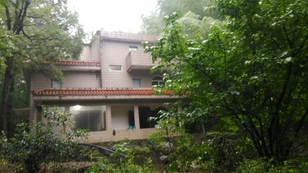 1994�꣬�_(t��i)�������x�ď]�_(t��i)���خa(ch��n)��˾ُ(g��u)�þŽ��Џ]���e��13̖(h��o)���a(ch��n)