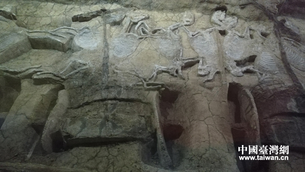 �R�^�еĺ����G�ݣ����A܇�Rꇡ���ɣ�ųǉ�