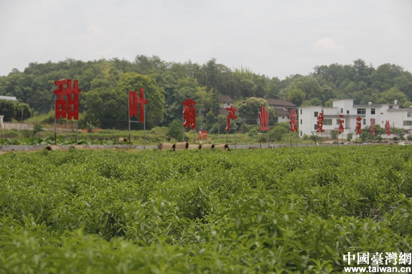 ���R�^�е�Óؚ���¡�����(zh��n)��ؚ���r(n��ng)�������ҳ�·