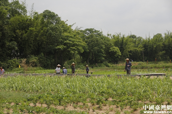 ���R�^�е�Óؚ���¡�����(zh��n)��ؚ���r(n��ng)�������ҳ�·