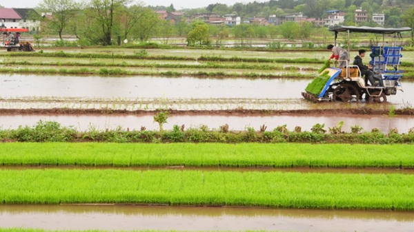 ����ǧ���G ��Ұ�L�¾�