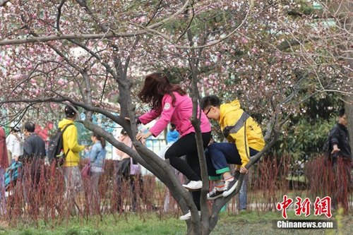 �W(w��ng)�џ��h���cȥ�ă�ʮ����β������О鲻�܎����D����3��