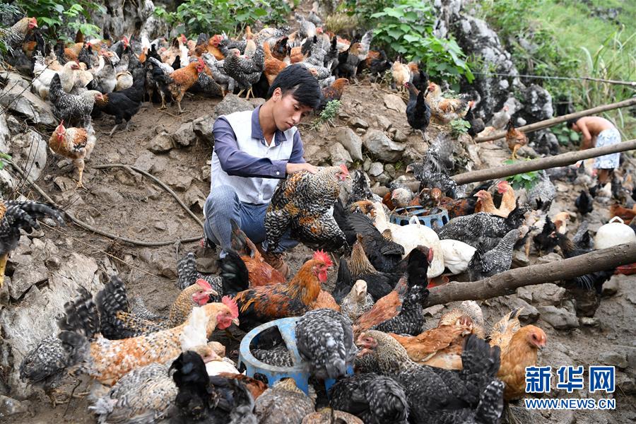 28�q�Ĵ�֧��������Óؚ���u�I(y��)��