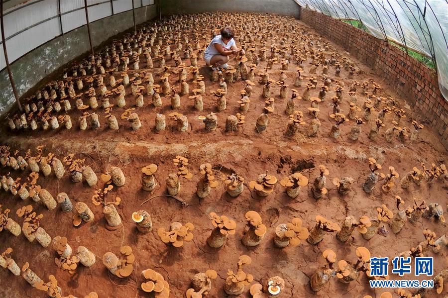 ��ɫ�a(ch��n)�I(y��)��������(zh��n)��ؚ