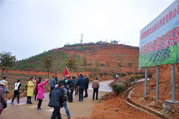 �}�|���l(xi��ng)�У������������B(t��i)��@ Ʒ��ɽ����