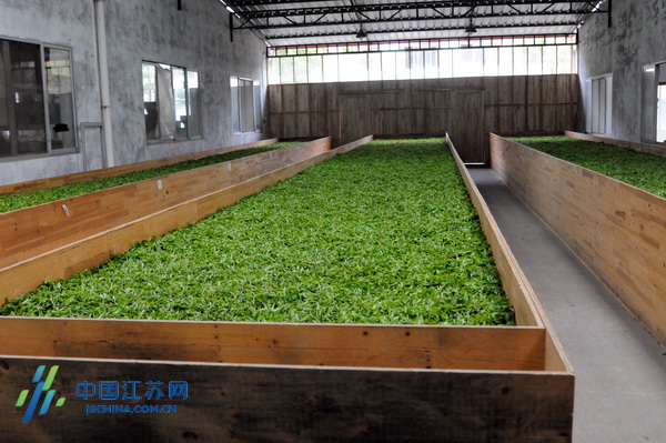 ȫ���W�jý�w���l�д��Ͳ��L�F���M�ی�����@