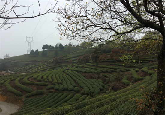 �}�|�衤���z����ȫ��(gu��)�W(w��ng)�j(lu��)ý�w�}�|���l(xi��ng)�С����M(j��n)����