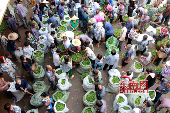 �������ײ衱�M������ʢ�a�� Ʒ�|�ò��r�����u