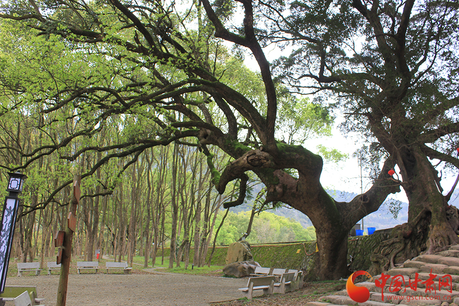 ���}�|�衤���z����ȫ���W(w��ng)�j(lu��)ý�w���M(j��n)ǧ���ͯ���(zh��n)