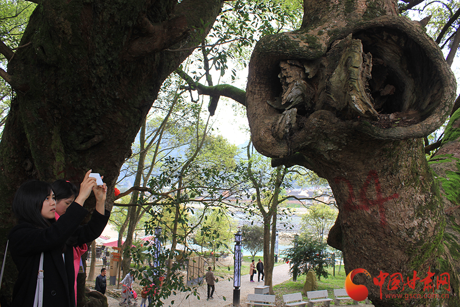 ���}�|�衤���z����ȫ���W(w��ng)�jý�w���Mǧ���ͯ���(zh��n)