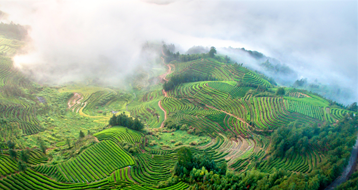 �}�|���l(xi��ng)�У��Wýӛ���wζ����܌�