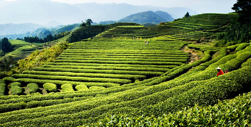 ��������@�L�� ��@��ɫ�뮋��