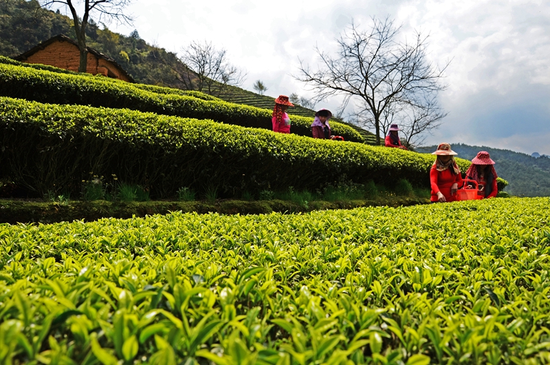 ��������@�L�� ��@��ɫ�뮋��